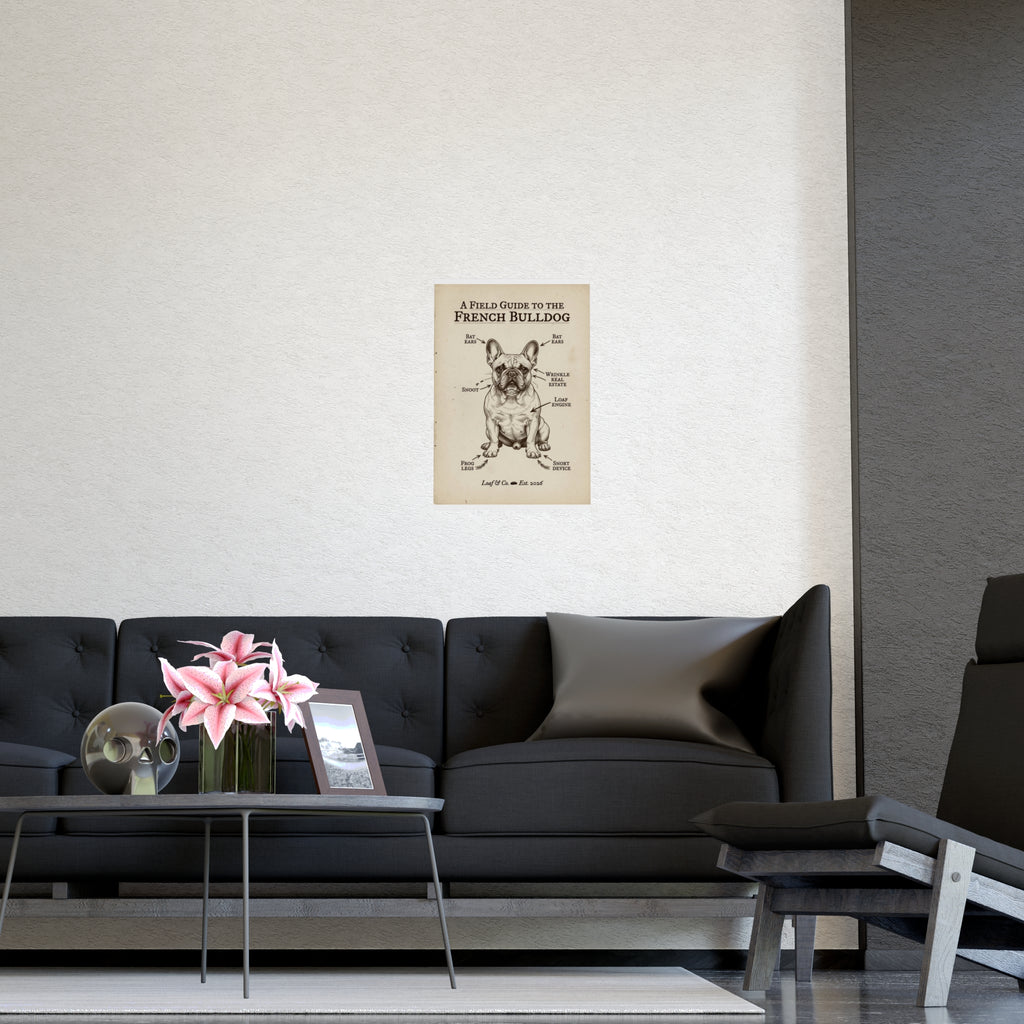 A Field Guide to the French Bulldog — Matte Poster