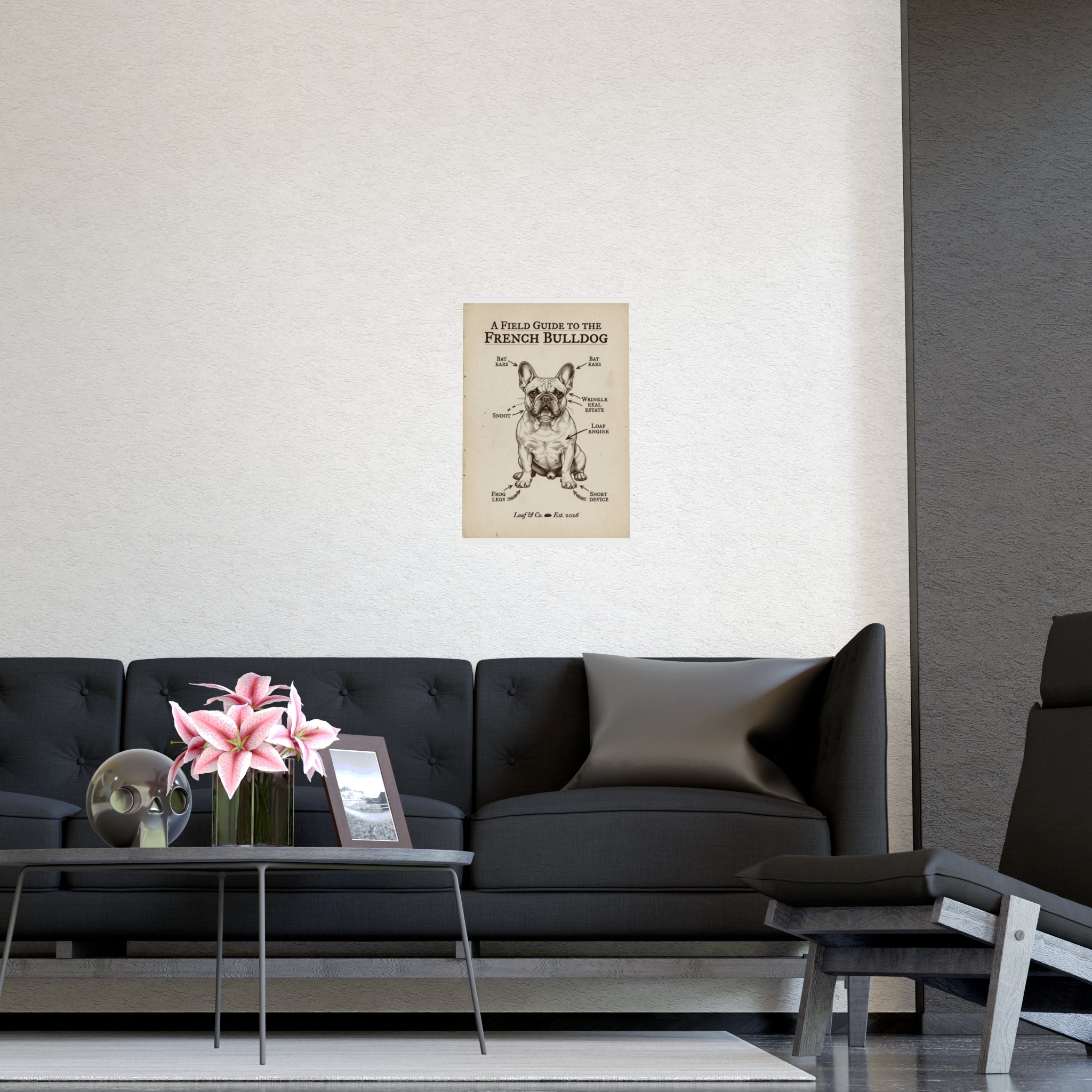 A Field Guide to the French Bulldog — Matte Poster