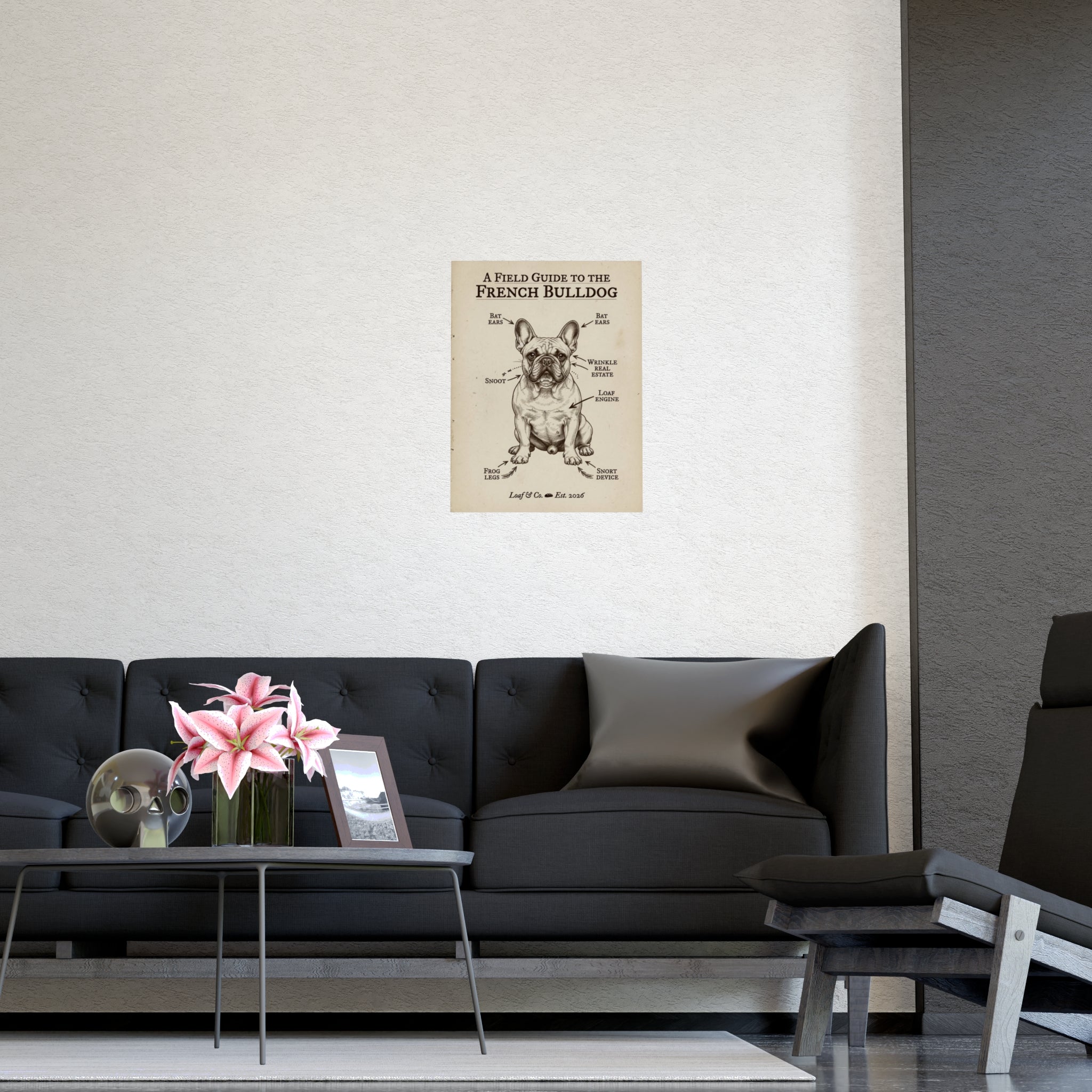 A Field Guide to the French Bulldog — Matte Poster
