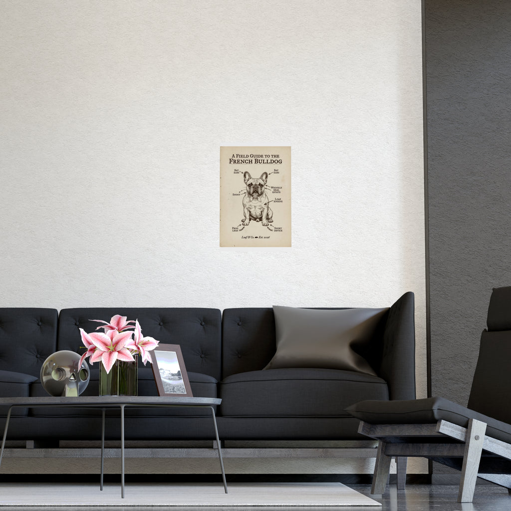 A Field Guide to the French Bulldog — Matte Poster