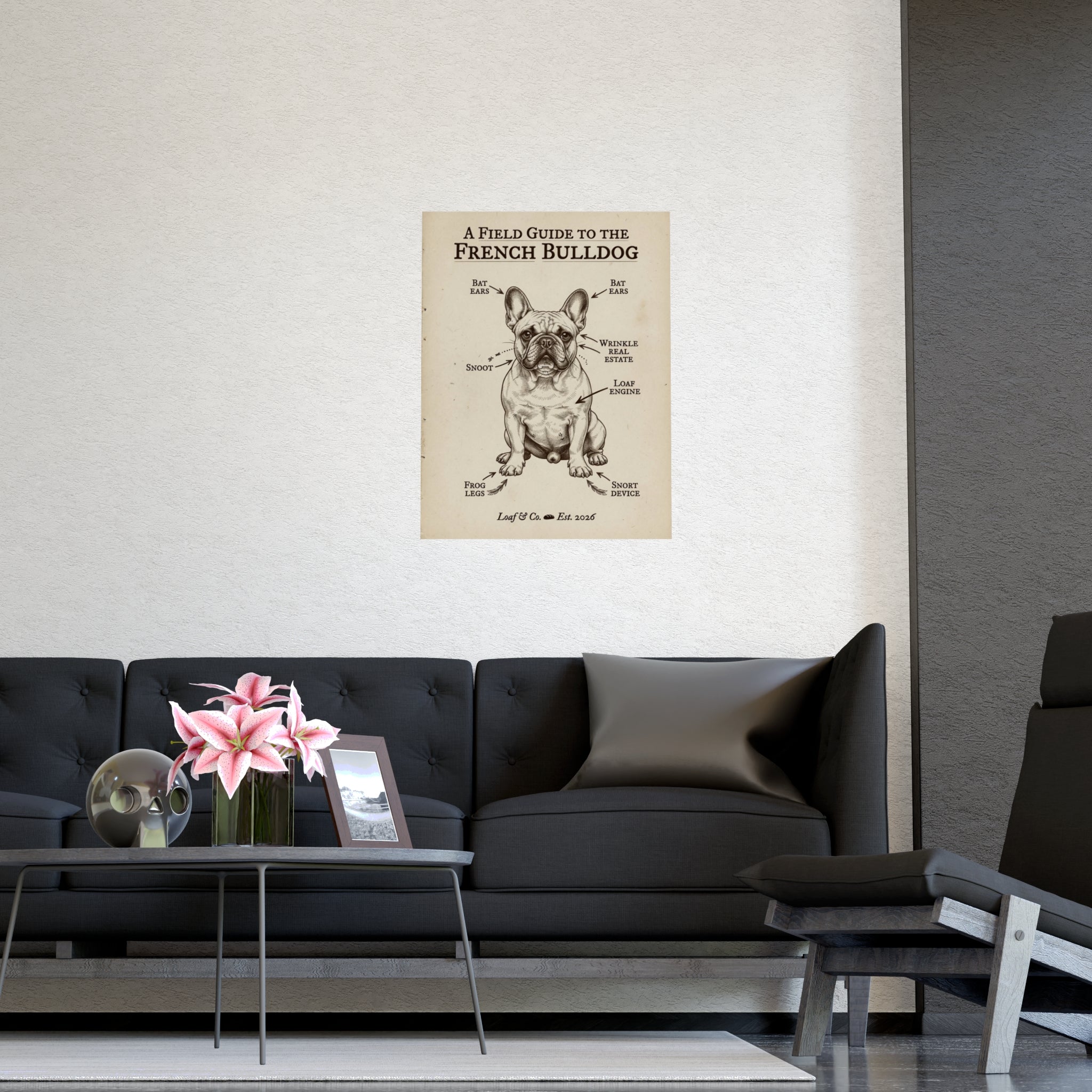 A Field Guide to the French Bulldog — Matte Poster