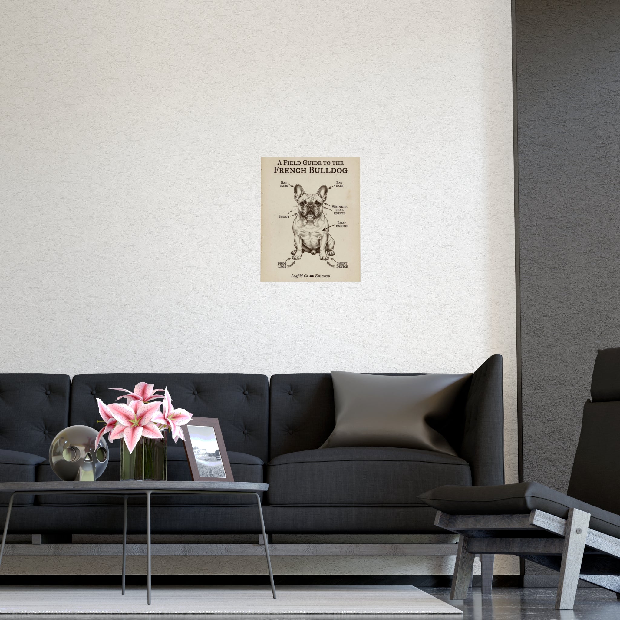 A Field Guide to the French Bulldog — Matte Poster